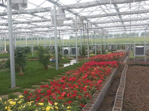 吉林長(zhǎng)春溫室案例